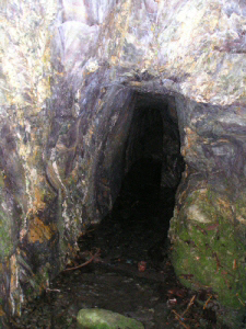 Leuchtmooshhle